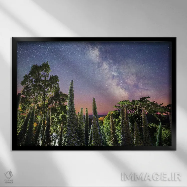 تابلو گونیکها زیر راه شیری (نوعی گیاه) اثر چاد پاول - نمای قابدار مشکی