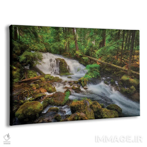 تابلو آمریکا، اورگن، پراسپکت. آبشار پیرسونی نزدیک چشمانداز ایالتی پراسپکت. اثر کریستوفر رید - نمای پرسپکتیو محصول