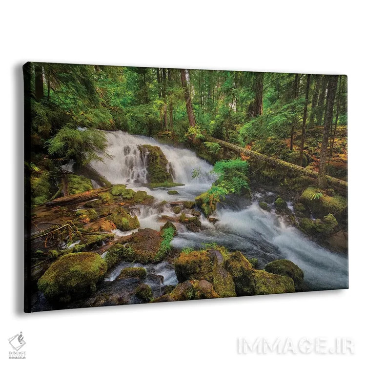 تابلو آمریکا، اورگن، پراسپکت. آبشار پیرسونی نزدیک چشمانداز ایالتی پراسپکت. اثر کریستوفر رید - نمای پرسپکتیو محصول