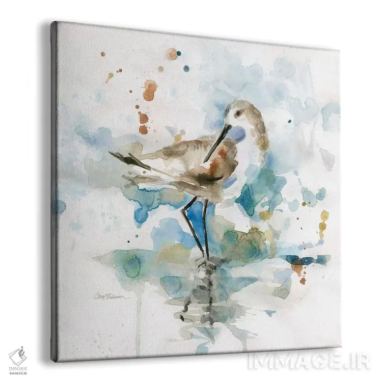 تابلو نیزن ساحل پالم (نوع پرنده) اثر کارول رابینسون - نمای پرسپکتیو محصول