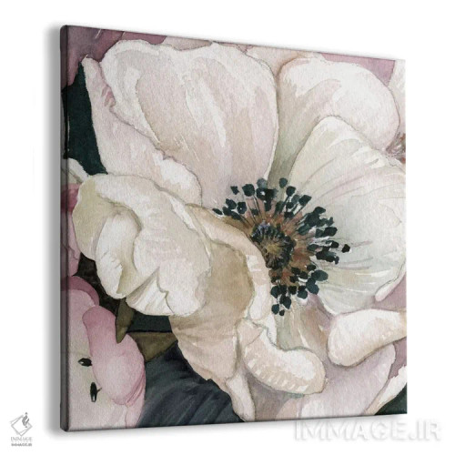 تابلو مطالعه گل شقایق دریایی III اثر کارول رابینسون - نمای پرسپکتیو محصول