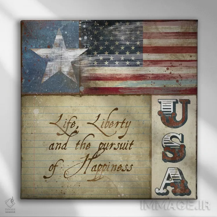 تابلو ایالات متحده آمریکا اثر کارول رابینسون - نمای روبهرو روی دیوار