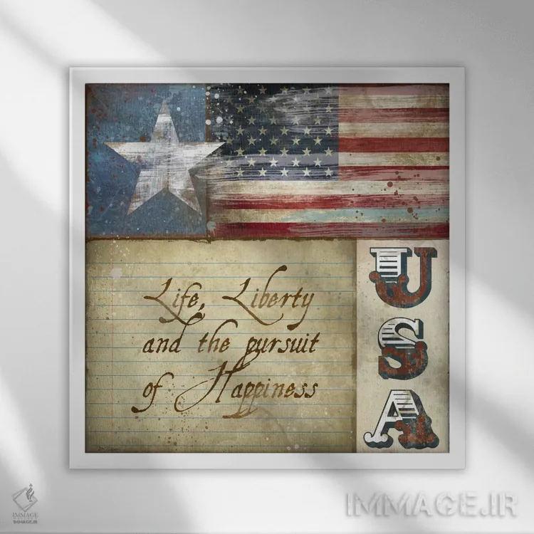 تابلو ایالات متحده آمریکا اثر کارول رابینسون - نمای قابدار سفید