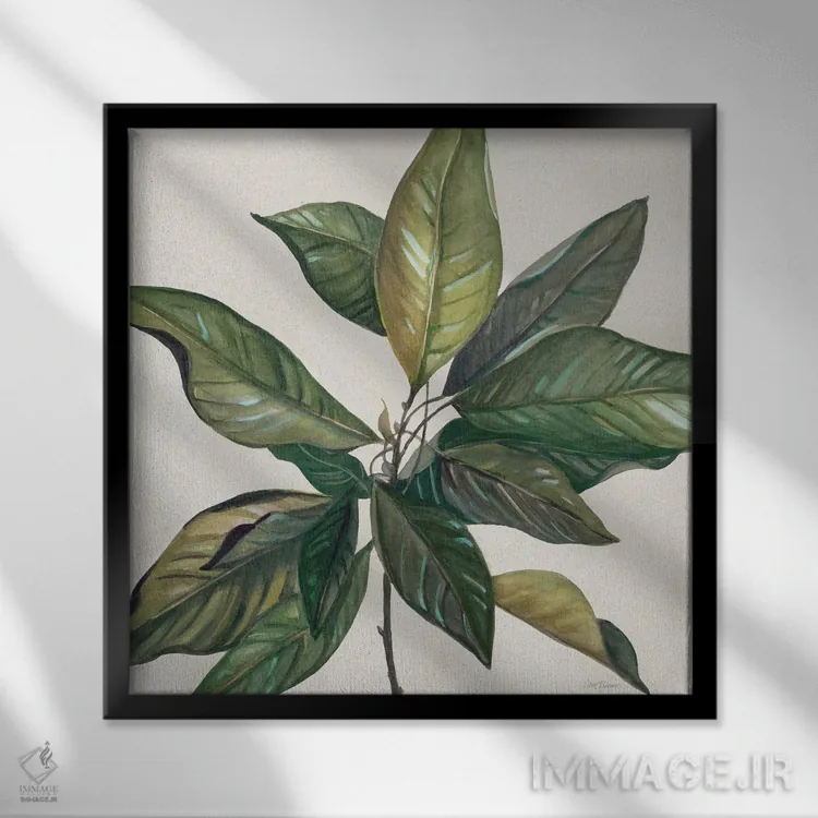 تابلو برگ ماگنولیا I اثر کارول رابینسون - نمای قابدار مشکی