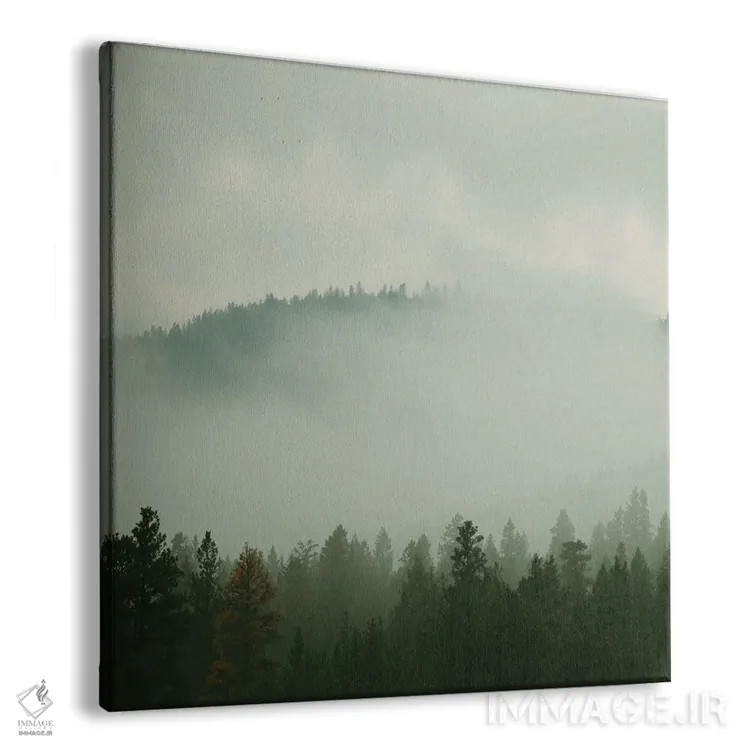 تابلو کشور سرسبز I اثر کارول رابینسون - نمای پرسپکتیو محصول