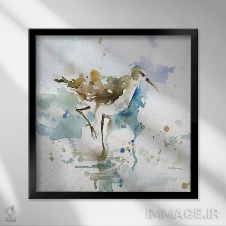 تابلو شنرو مالیبو اثر کارول رابینسون - نمای قابدار مشکی