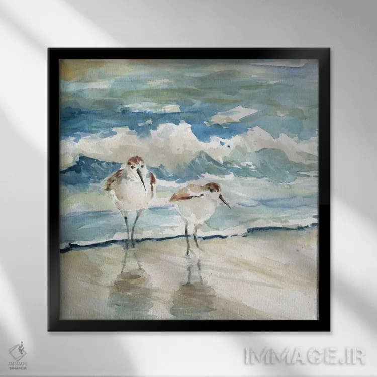 تابلو پرندگان ساحلی اثر کارول رابینسون - نمای قابدار مشکی