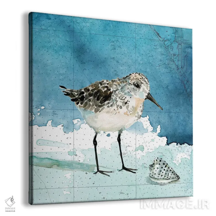 تابلو سنکپای ساحل خلیج ۱ اثر کارول رابینسون - نمای پرسپکتیو محصول