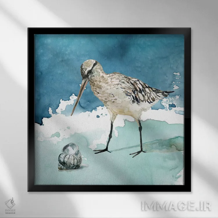 تابلو سنکپای دلری ۲ اثر کارول رابینسون - نمای قابدار مشکی