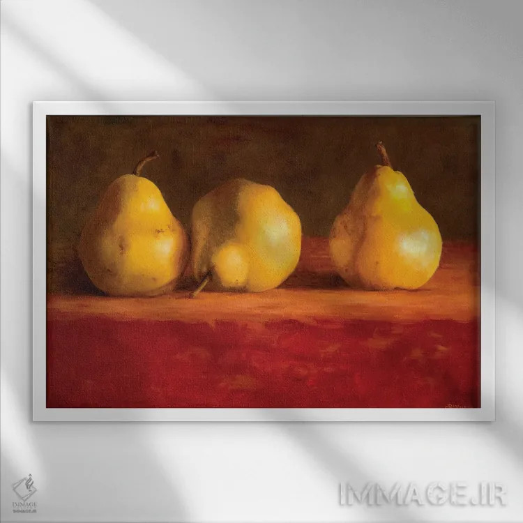 تابلو نورافشانی اثر سیندی روِل - نمای قابدار سفید