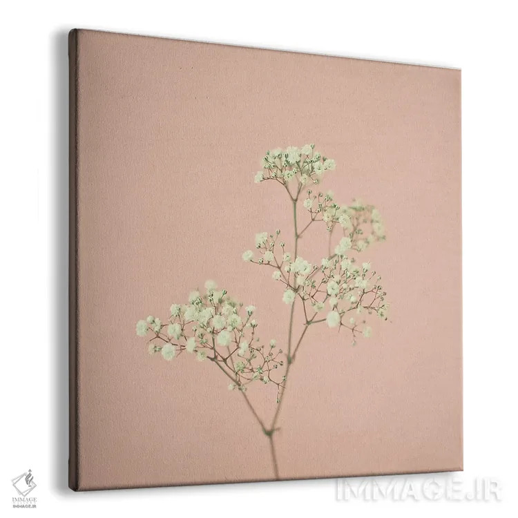 تابلو نفس کودک (گل ژیپسوفیلا) اثر کاسیا بک - نمای پرسپکتیو محصول