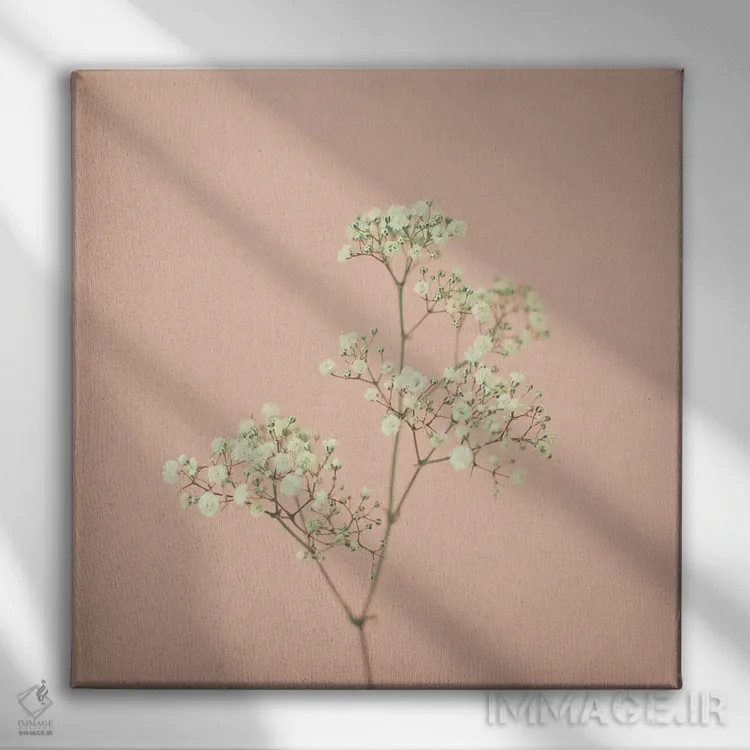 تابلو نفس کودک (گل ژیپسوفیلا) اثر کاسیا بک - نمای روبهرو روی دیوار