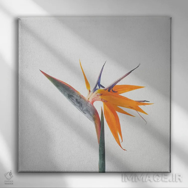 تابلو پرندهٔ بهشتی (گل پرنده بهشت) اثر کاسیا بک - نمای روبهرو روی دیوار