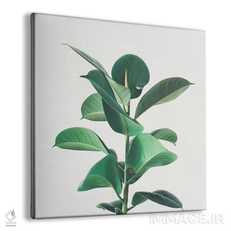 تابلو انجیر لاستیکی اثر کاسیا بک - نمای پرسپکتیو محصول