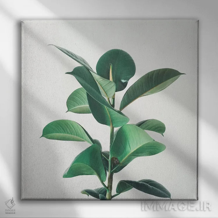 تابلو انجیر لاستیکی اثر کاسیا بک - نمای روبهرو روی دیوار