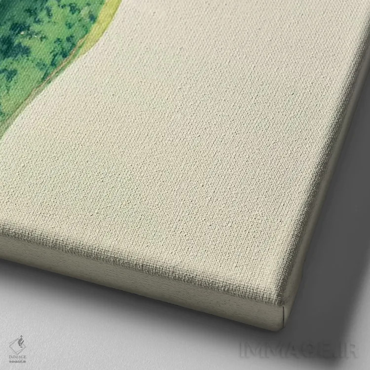 تابلو گیاه مار (سانسوریا) اثر کاسیا بک - نمای نزدیک بافت بوم