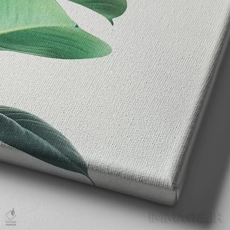 تابلو انجیر لاستیکی اثر کاسیا بک - نمای نزدیک بافت بوم