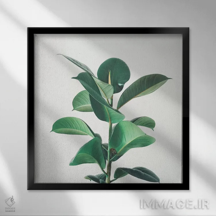 تابلو انجیر لاستیکی اثر کاسیا بک - نمای قابدار مشکی