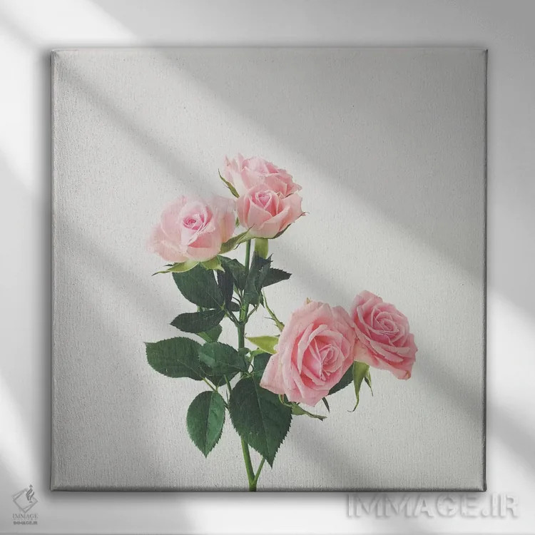 تابلو رزهای بهاری اثر کاسیا بک - نمای روبهرو روی دیوار