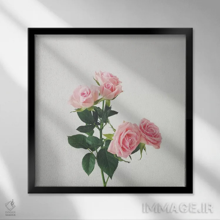 تابلو رزهای بهاری اثر کاسیا بک - نمای قابدار مشکی