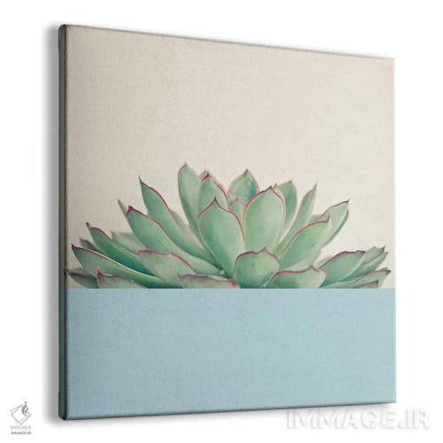 تابلو ساکولنت دیپ شماره سه اثر کاسیا بک - نمای پرسپکتیو محصول