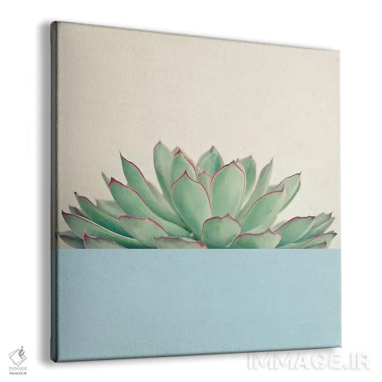 تابلو ساکولنت دیپ شماره سه اثر کاسیا بک - نمای پرسپکتیو محصول