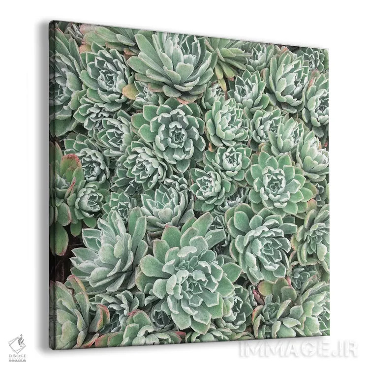 تابلو تخت ساکولنتها اثر کاسیا بک - نمای پرسپکتیو محصول