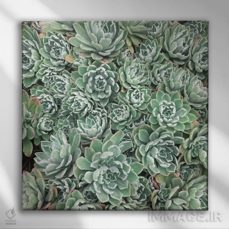 تابلو تخت ساکولنتها اثر کاسیا بک - نمای روبهرو روی دیوار