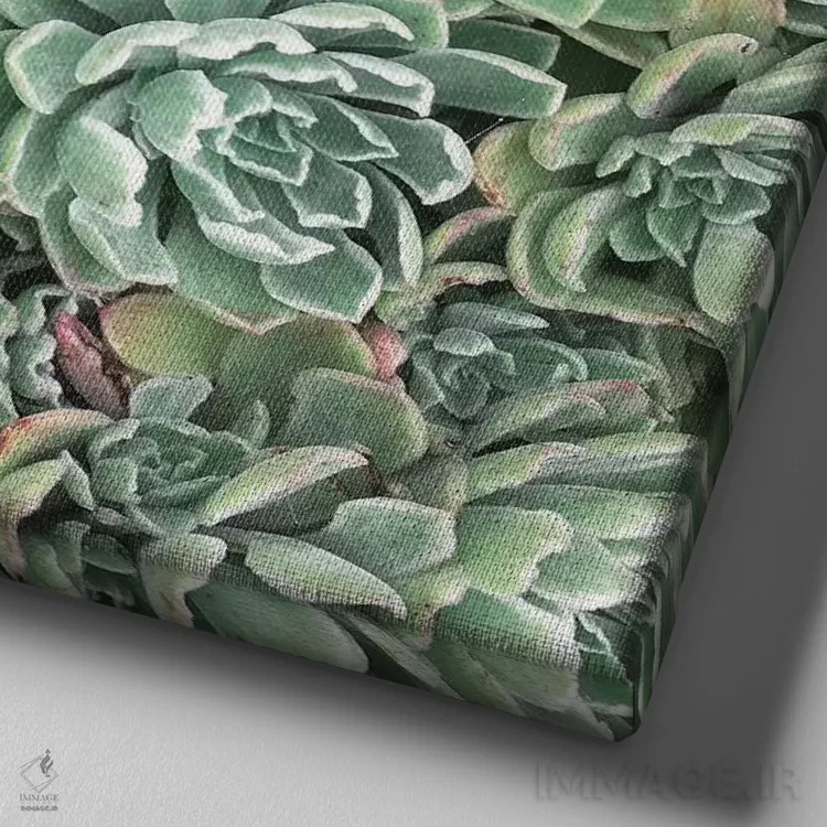 تابلو تخت ساکولنتها اثر کاسیا بک - نمای نزدیک بافت بوم