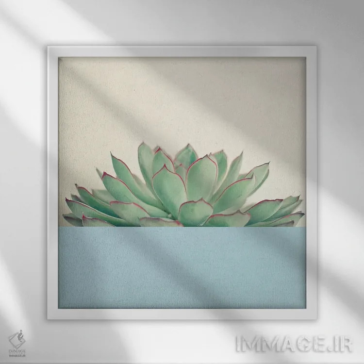 تابلو ساکولنت دیپ شماره سه اثر کاسیا بک - نمای قابدار سفید