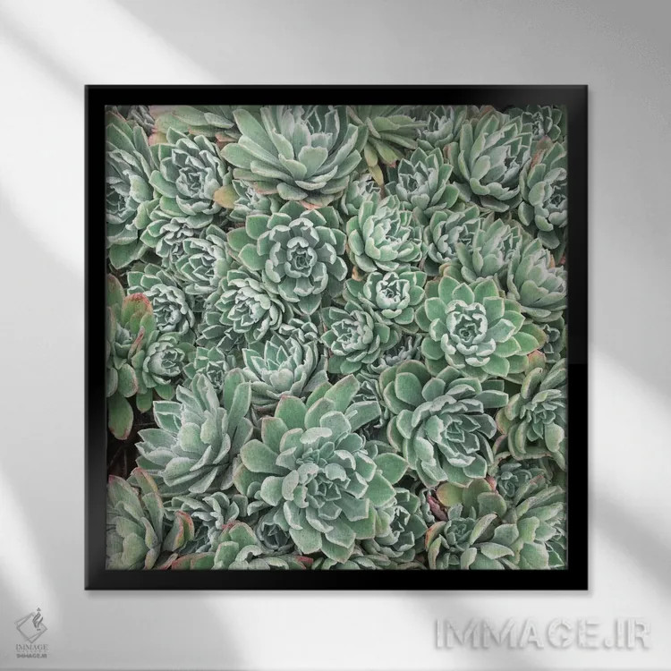 تابلو تخت ساکولنتها اثر کاسیا بک - نمای قابدار مشکی