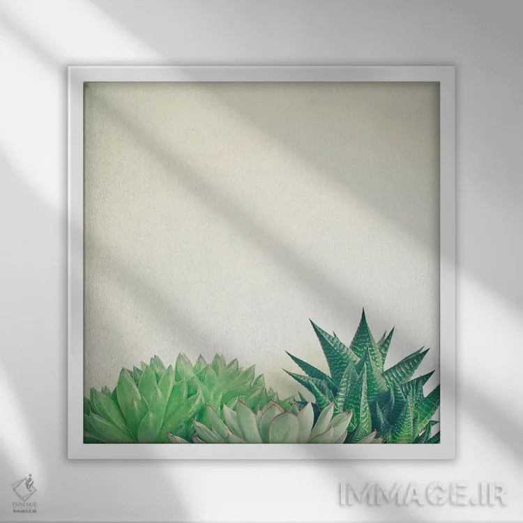 تابلو جنگل ساکولنتها اثر کاسیا بک - نمای قابدار سفید