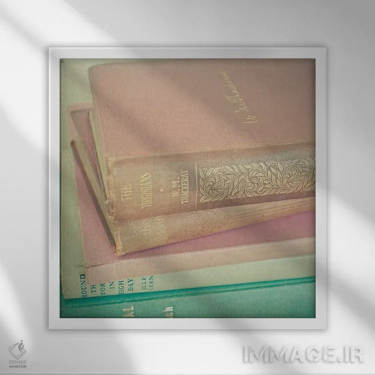 تابلو عاشق کتاب اثر کاسیا بک - نمای قابدار سفید
