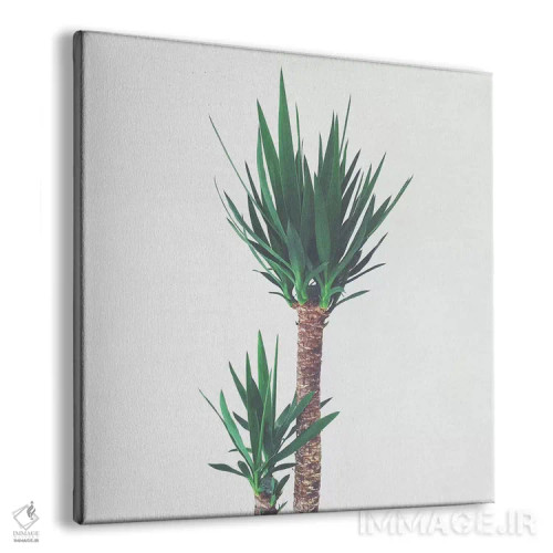 تابلو یوکا شماره دو اثر کاسیا بک - نمای پرسپکتیو محصول