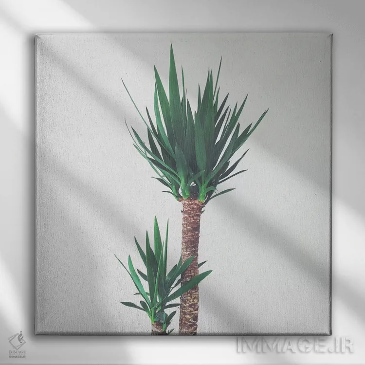 تابلو یوکا شماره دو اثر کاسیا بک - نمای روبهرو روی دیوار