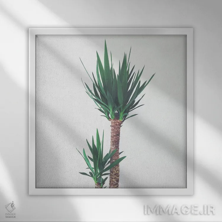 تابلو یوکا شماره دو اثر کاسیا بک - نمای قابدار سفید