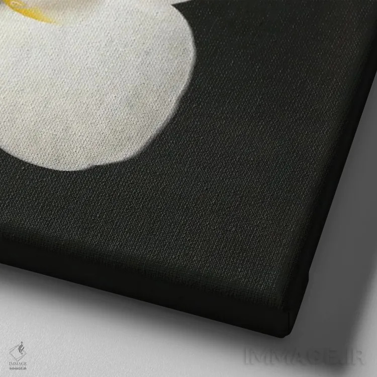 تابلو ارکیده سیاه و سفید شماره دو اثر کاسیا بک - نمای نزدیک بافت بوم