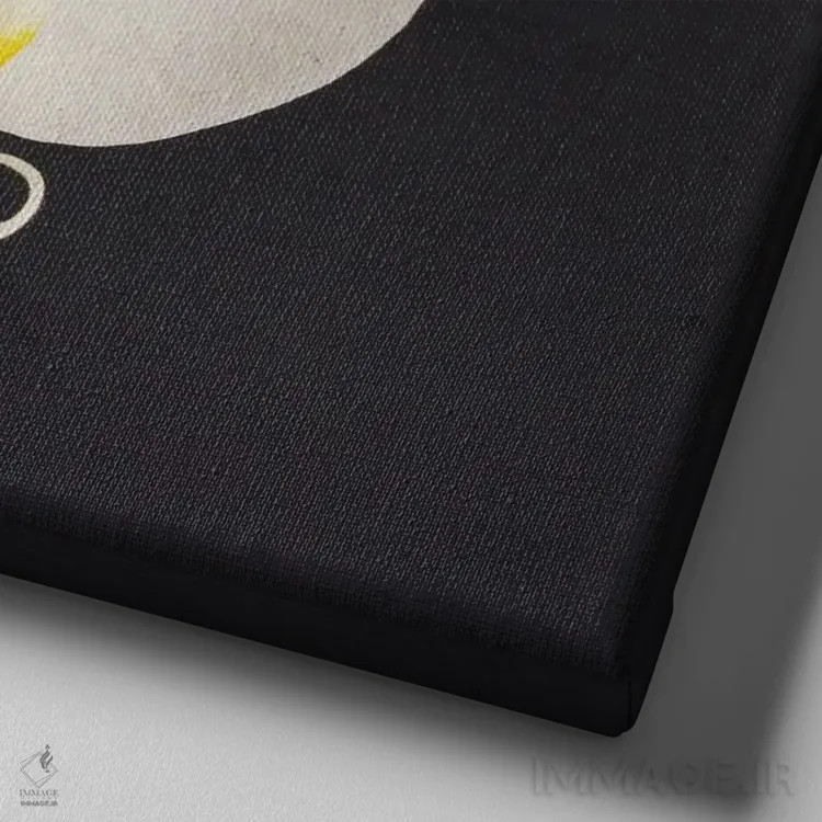 تابلو ارکیده سیاه و سفید اثر کاسیا بک - نمای نزدیک بافت بوم