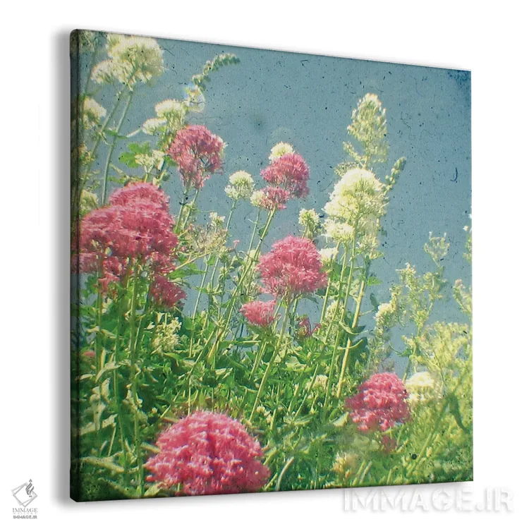 تابلو تمشک و خامه اثر کاسیا بک - نمای پرسپکتیو محصول