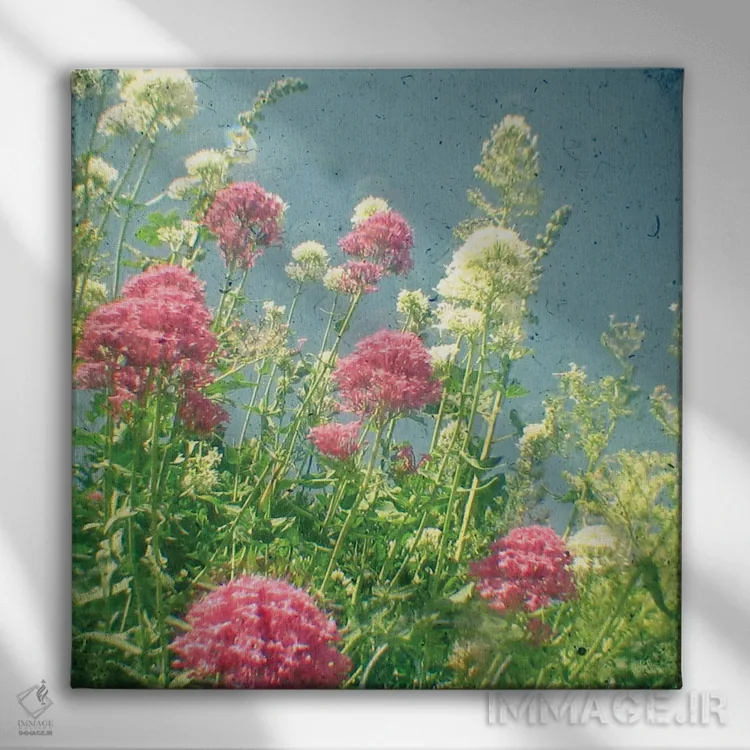 تابلو تمشک و خامه اثر کاسیا بک - نمای روبهرو روی دیوار