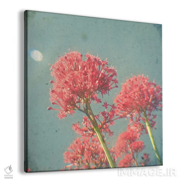 تابلو رویای تمشک اثر کاسیا بک - نمای پرسپکتیو محصول