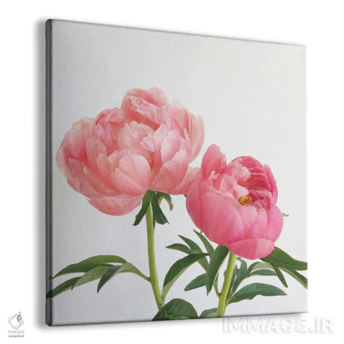 تابلو گلصدتومانیها (پائونیا) اثر کاسیا بک - نمای پرسپکتیو محصول