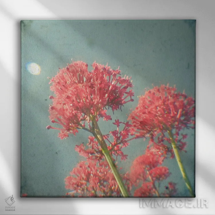 تابلو رویای تمشک اثر کاسیا بک - نمای روبهرو روی دیوار