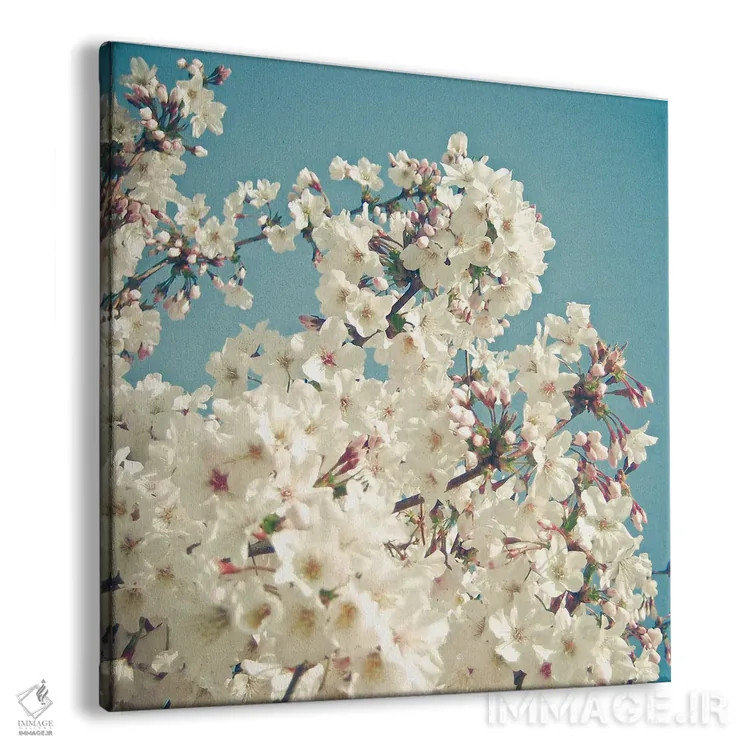 تابلو غنچهها در ماه مه اثر کاسیا بک - نمای پرسپکتیو محصول
