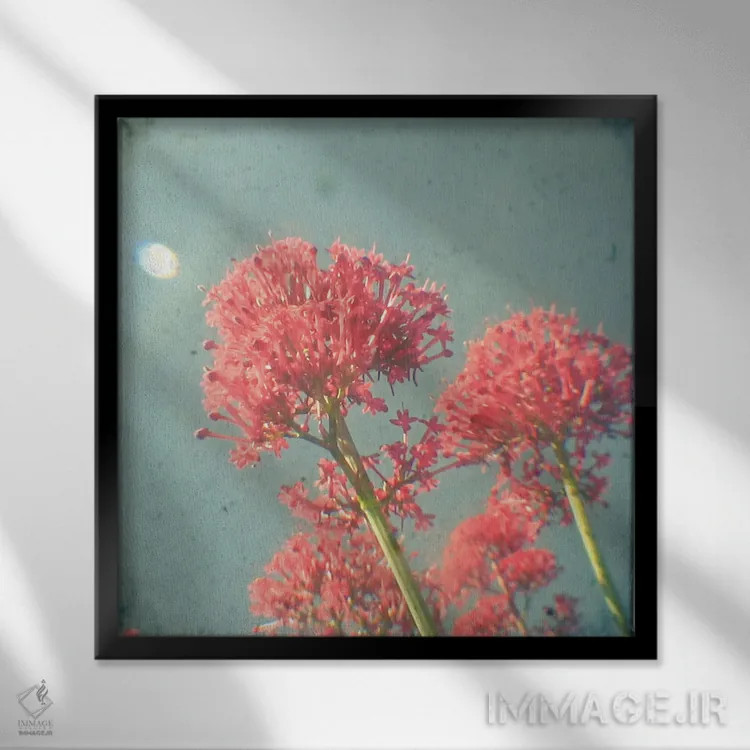 تابلو رویای تمشک اثر کاسیا بک - نمای قابدار مشکی