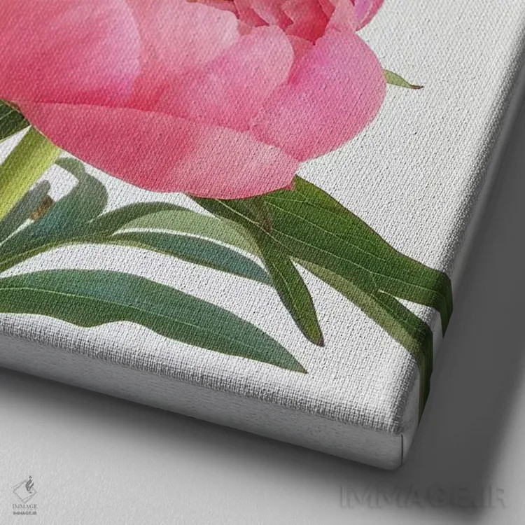 تابلو گلصدتومانیها (پائونیا) اثر کاسیا بک - نمای نزدیک بافت بوم