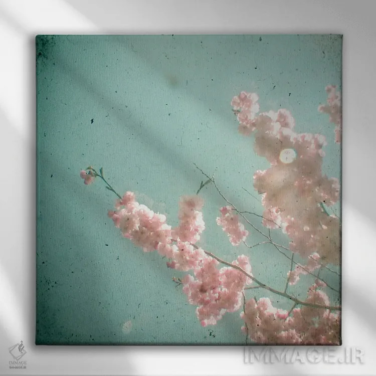 تابلو آفتاب مهآلود اثر کاسیا بک - نمای روبهرو روی دیوار