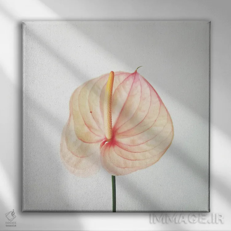 تابلو آراملایلی هلوئی (گل کالا لیلی با رنگ هلوئی) اثر کاسیا بک - نمای روبهرو روی دیوار