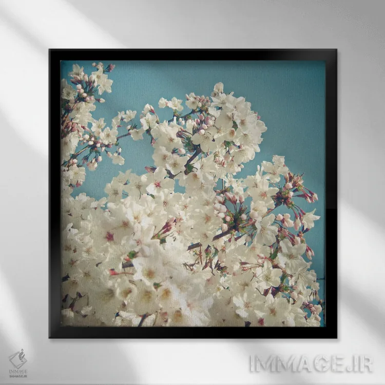 تابلو غنچهها در ماه مه اثر کاسیا بک - نمای قابدار مشکی