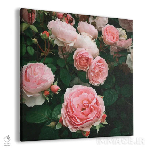 تابلو رز تیره اثر کاسیا بک - نمای پرسپکتیو محصول